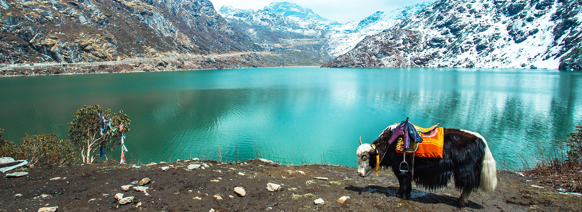 Sikkim Darjeeling Holiday